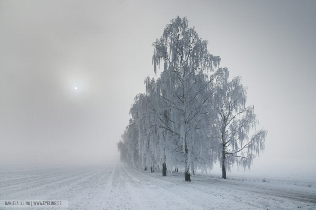 Eisiger Dunst
