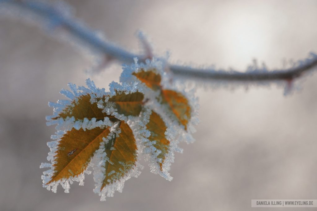 Halskette aus Kristall